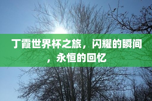 丁霞世界杯之旅，闪耀的瞬间，永恒的回忆眉山市正发家政服务有限公司