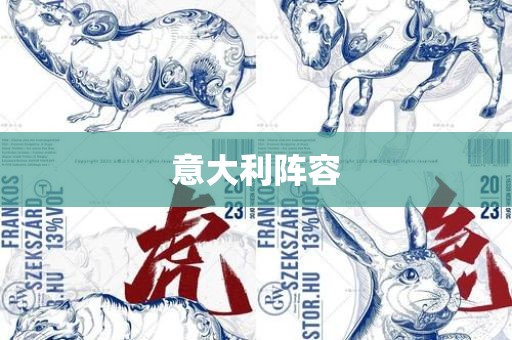 意大利阵容