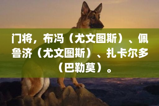 门将，布冯（尤文图斯）、佩鲁济（尤文图斯）、扎卡尔多（巴勒莫）。眉山市正发家政服务有限公司