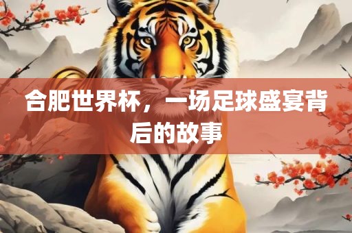 合肥世界杯，一场足球盛宴背后的故事眉山市正发家政服务有限公司