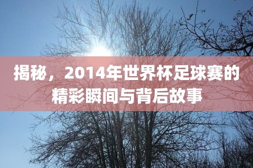 揭秘，2014年世界杯足球赛的精彩瞬间与背后故事眉山市正发家政服务有限公司