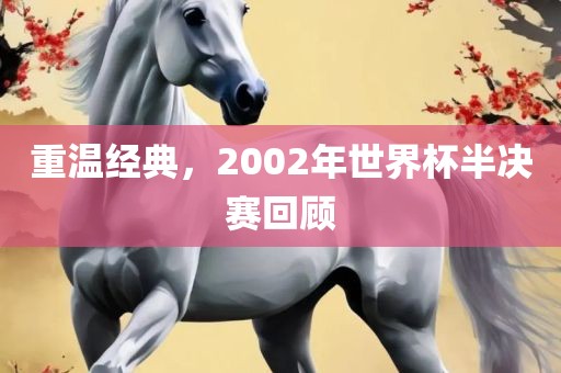重温经典，2002年世界杯半决赛回顾