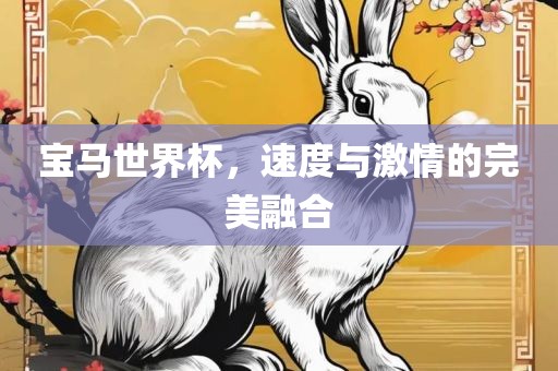 宝马世界杯，速度与激情的完美融合
