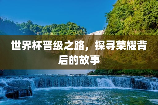 世界杯晋眉山市正发家政服务有限公司级之路，探寻荣耀背后的故事