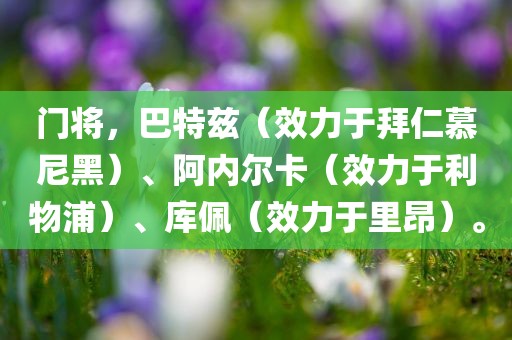 门将，巴特兹（效力于拜仁慕尼黑）、阿内尔卡（效力于利物浦）、库佩（效力于里昂）。