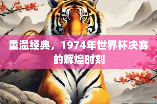 重温经典，1974年世界杯决赛的辉煌时刻