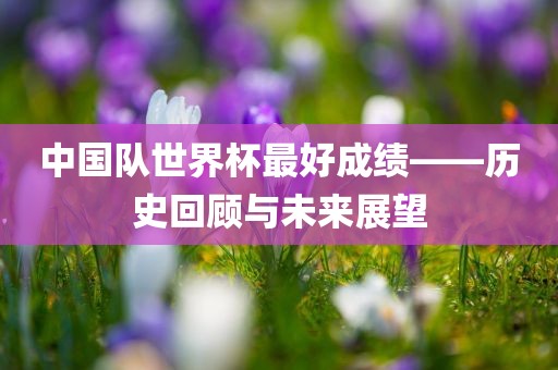中国队世界杯最好成绩——历史回顾与未来展眉山市正发家政服务有限公司望