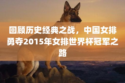 回顾历史经典之战，中国女排勇夺2015年女排世界杯冠军之路