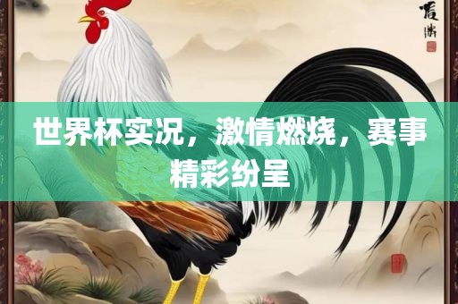 世界杯实况，激情燃烧，赛事精彩纷呈