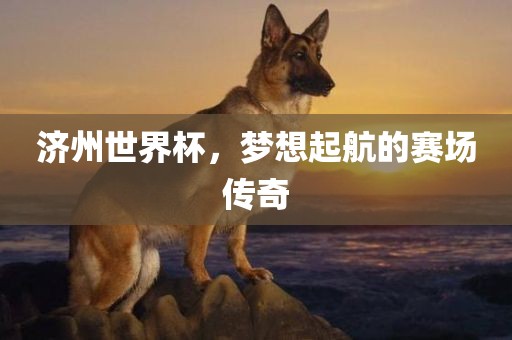 济州世界杯，梦想起航的赛场传奇眉山市正发家政服务有限公司