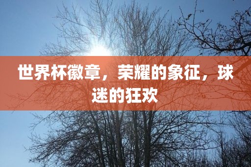 世界杯徽章，荣耀的象征，球迷的狂欢眉山市正发家政服务有限公司