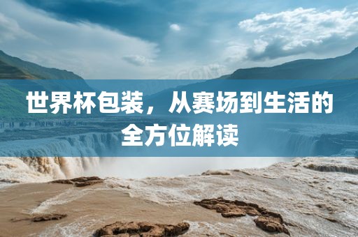 世界杯包装，从赛场到生活的全方位解读眉山市正发家政服务有限公司