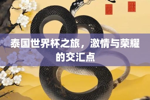 泰国世界杯之旅，激情与荣耀的交汇点眉山市正发家政服务有限公司