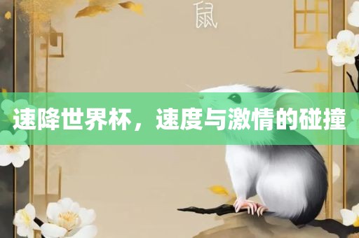 眉山市正发家政服务有限公司速降世界杯，速度与激情的碰撞