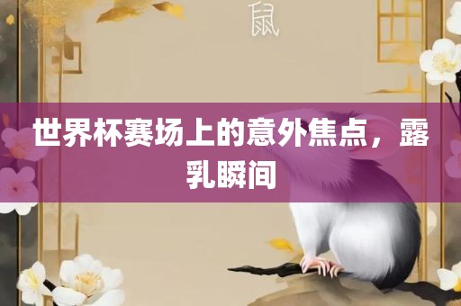 世界杯赛场上的意外焦点，露乳眉山市正发家政服务有限公司瞬间