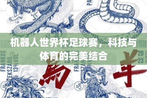 机器人世界杯足球赛，科技与体育的完美结合眉山市正发家政服务有限公司
