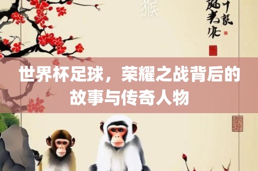 世界杯足球，荣耀之战背后的故事与传奇人物