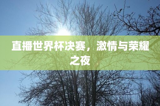 直播世界杯决赛，激情与荣耀之夜眉山市正发家政服务有限公司
