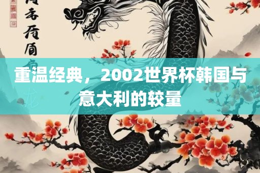 重温经典，2002世界杯韩国与意大利的较量
