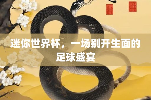 迷你世界杯，一场别开生面的足球盛宴眉山市正发家政服务有限公司