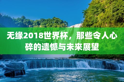 无缘2018世界杯，那些眉山市正发家政服务有限公司令人心碎的遗憾与未来展望