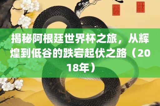揭秘阿根廷世界杯之旅，从辉煌到低谷的跌宕起伏之路（2018年）