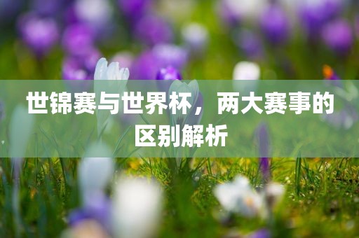 世锦赛与世界杯，两大赛事的区别解析