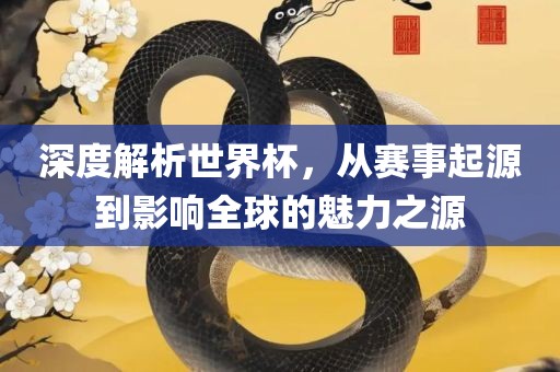 深度解析世界杯，从赛事起源到影响全球的魅力之源