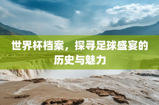 世界杯档案，探寻足球盛宴的历史与魅力