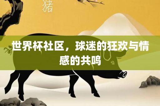 世界杯社区，球迷的狂欢与情感的共鸣
