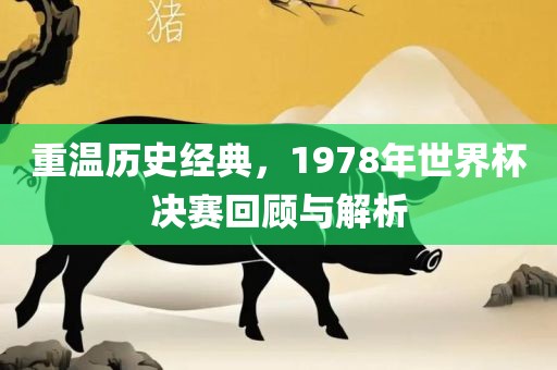 重温历史经典，1978年世界杯决赛回顾与解析眉山市正发家政服务有限公司