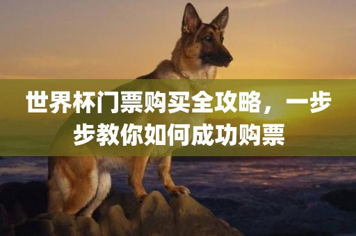 世界杯门票购买全攻略，一步步教你如何成功购票