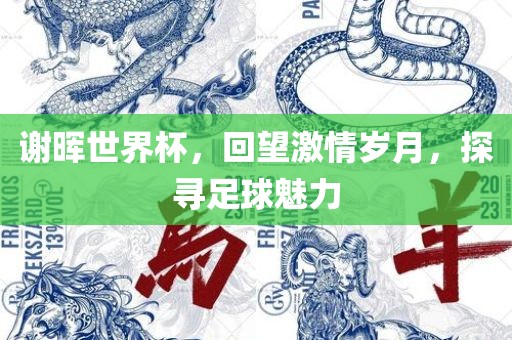 眉山市正发家政服务有限公司谢晖世界杯，回望激情岁月，探寻足球魅力