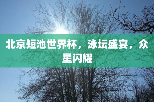 北京短池世界杯，泳坛盛宴，众星闪耀眉山市正发家政服务有限公司