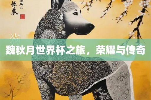 魏秋月世界杯之旅，荣耀与传奇眉山市正发家政服务有限公司