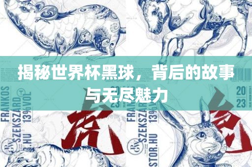 揭秘世界杯黑球，背后的故事与无尽魅力眉山市正发家政服务有限公司