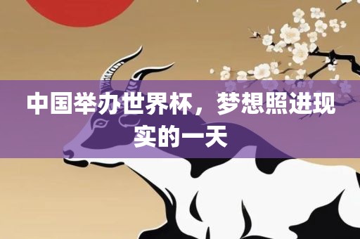 中国举办世界杯，梦想照进现实的一天
