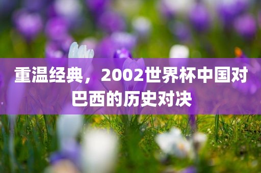 重温经典，2002世界杯中国对巴西的历史对决眉山市正发家政服务有限公司