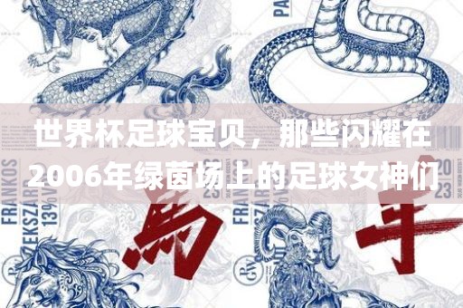 世界杯足球宝贝，那些闪耀在2006年绿茵场上的足球女神们