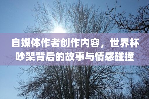 自媒体作者创作内容眉山市正发家政服务有限公司，世界杯吵架背后的故事与情感碰撞