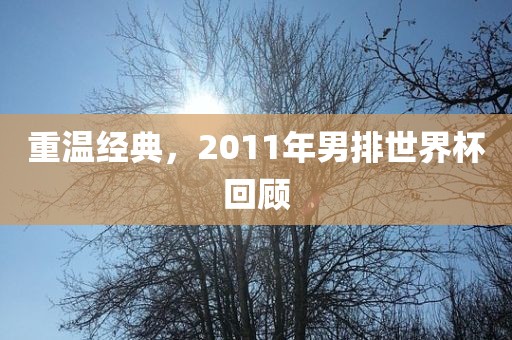 重温经典，2011年男排世界杯回顾