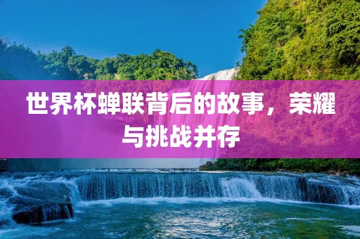 世界杯蝉联背后的故事，荣耀与挑战并存
