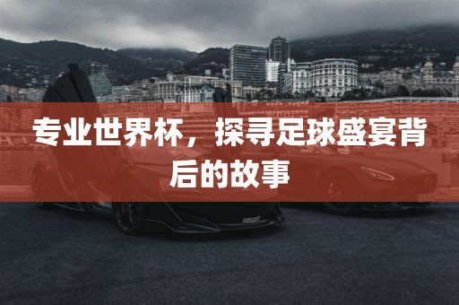 专业世界杯，探寻足球盛宴背后的故事眉山市正发家政服务有限公司