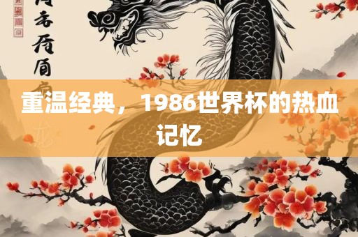 重温经典，1986世界杯的热血记忆