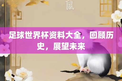 足球世界杯资料大全，回顾历史，展望未来