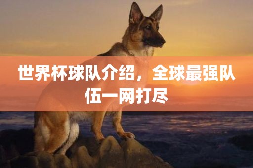 世界杯球队介绍，全球最强队伍一网打尽眉山市正发家政服务有限公司