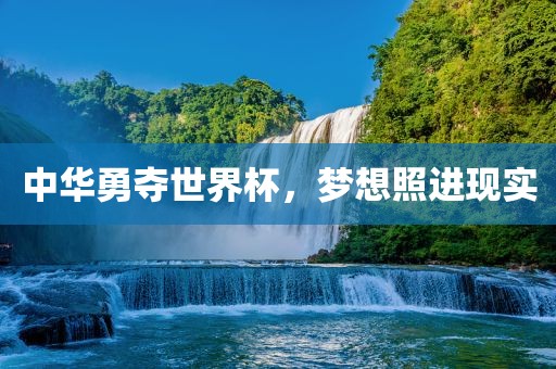 中华勇夺世界杯，梦想照进现实