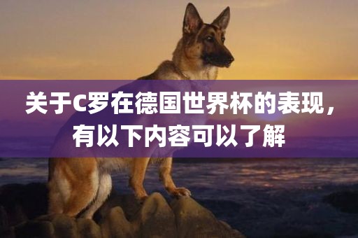 关于C罗在德国世界杯的表现，有以下内容可以了解
