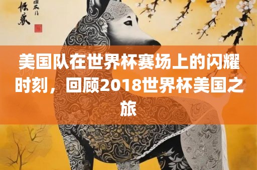 美国队在世界杯赛场上的闪耀时刻，回顾2018世界杯美国之旅眉山市正发家政服务有限公司