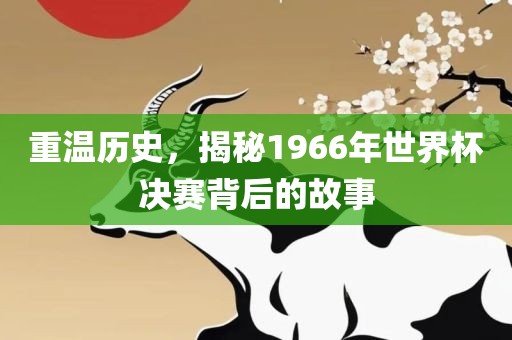 重温历史，揭秘1966年世界杯决赛背后的故事